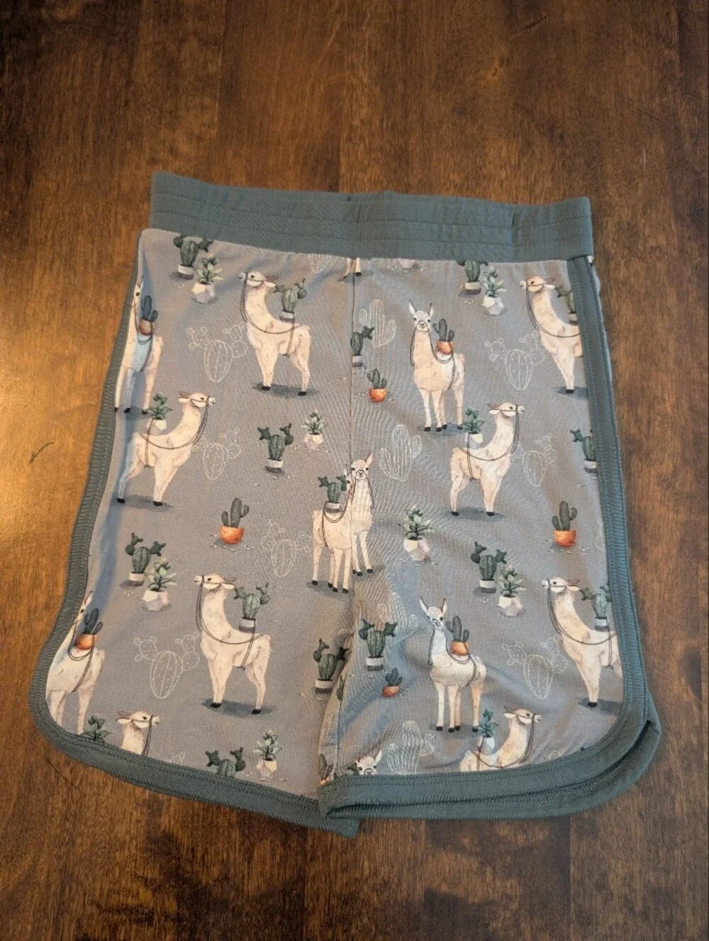 Big Dreams Little Jammies Kids Blue Llama Print Bamboo PJ Set/ Nwt